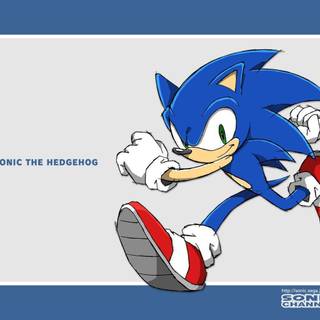 Sonic The Hedgehog