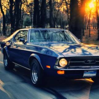 4k Ford Mustang Wallpaper