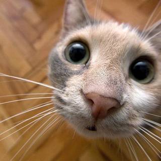 sorry for not posting :c 