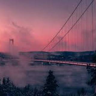 Fog Bridge