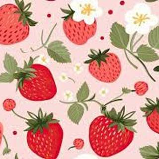 Strawberry Paradise