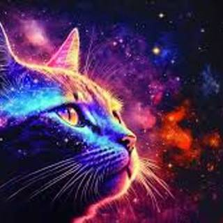 Galaxy Cat