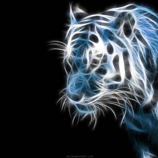 Credits to AJTHUNDERBIRD