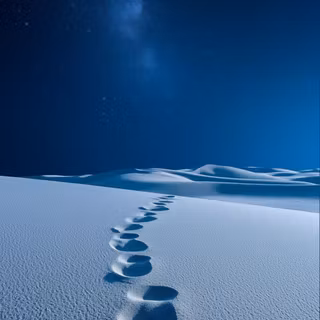 Footprints in the snow