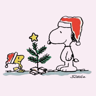 Charlie Brown christmas