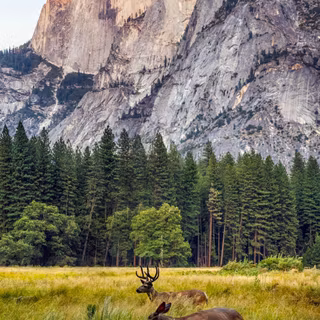 Beautiful Mountain Scenery 