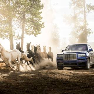 4k Rolls Royce Wallpaper