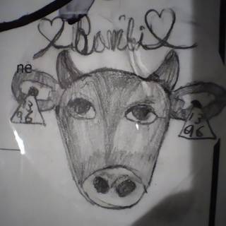 Cow ❤️