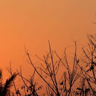 Dramatic lighting sky of twilight