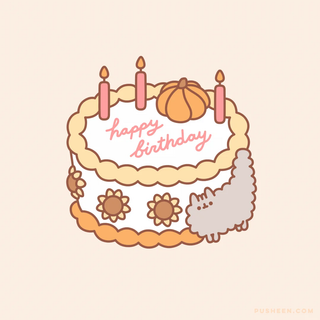 Happy birthday stormy