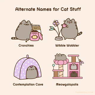 Nicknames for cats