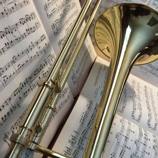 I love the trombone so much with my life. Its my voice whenever i cannot be heard