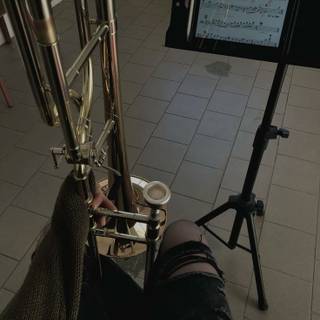 Im in the top band, wind ensemble in mpms and id say im pretty okay w the trombone