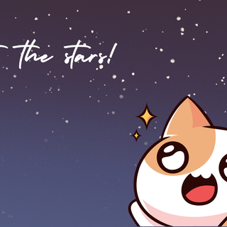 Look at the stars!