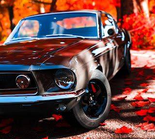 4k Ford Mustang Wallpaper