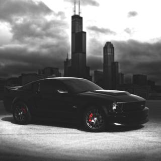 4k Ford Mustang Wallpaper