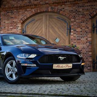 4k Ford Mustang Wallpaper