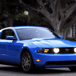 4k Ford Mustang Wallpaper