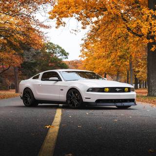 4k Ford Mustang Wallpaper