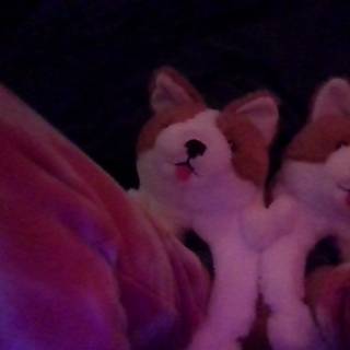 Meet my new twins, Corgiz and Corgi!!!