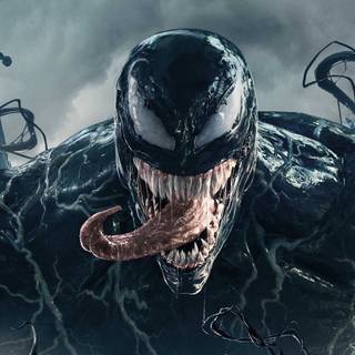 Venon e Homem Aranha