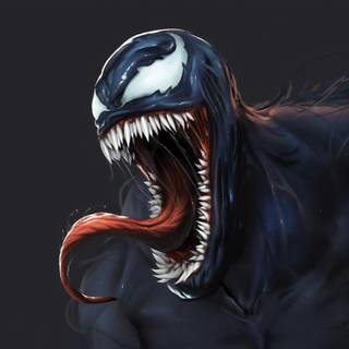 Venon e Homem Aranha