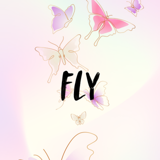 Fly