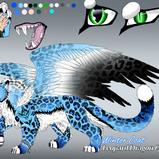 winter coat for my OC LPD form