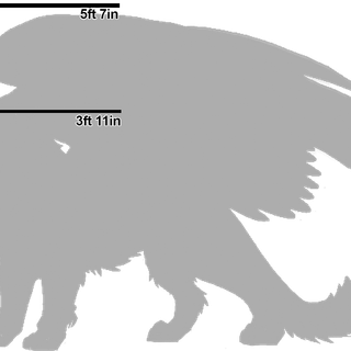 (MHA OC, CLOSED) size comparison.