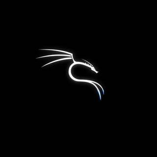 Kali Linux Loading 5K wallpaper 