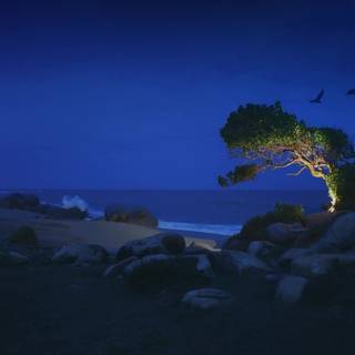 Marble Beach 4K wallpaper