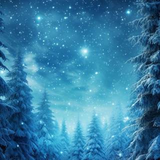 Christmas Forest at Night 