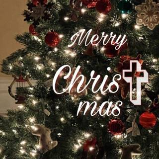 Merry Xmas