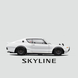 Nissan skyline 