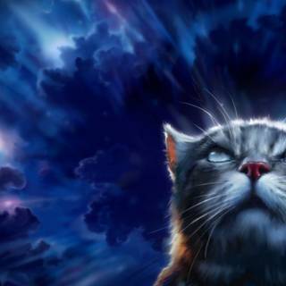 Warrior Cats