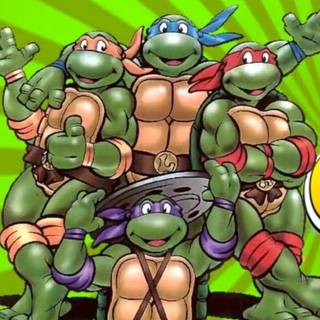 Ninja turtles 