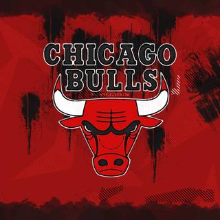 Chicago Bulls