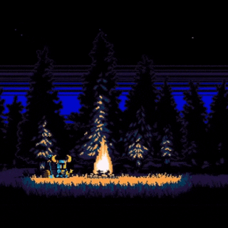 forest campfire 