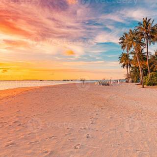 Beautiful 4k Tropical Beach Wallpaper