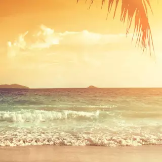 Beautiful 4k Tropical Beach Wallpaper