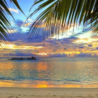 Beautiful 4k Tropical Beach Wallpaper