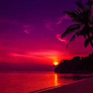 Beautiful 4k Tropical Beach Wallpaper
