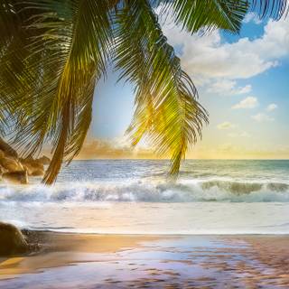 Beautiful 4k Tropical Beach Wallpaper