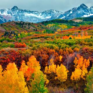 4k Autumn Wallpaper