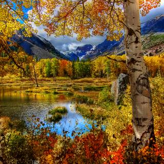 4k Autumn Wallpaper