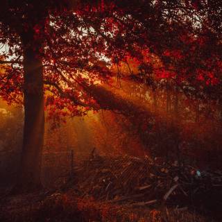 4k Autumn Wallpaper