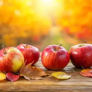 4k Autumn Wallpaper