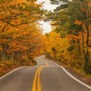 4k Autumn Wallpaper