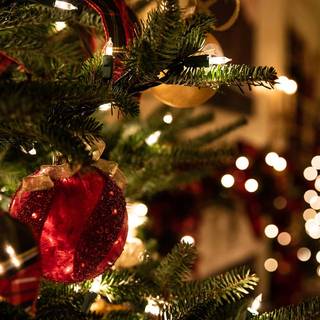 Close up Christmas tree