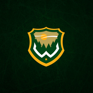 Minnesota Wild